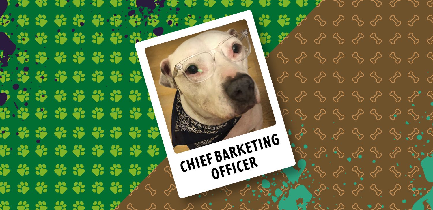 102137 Forest Dog Blog Header